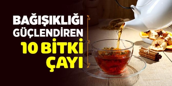 Kışın İçilmesi Gereken Bitki Çayları – En İyi 7 Öneri